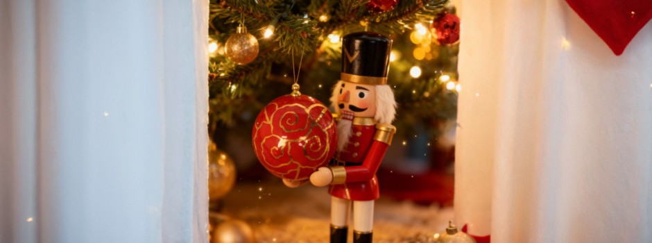 bannière casse noisette.jpg